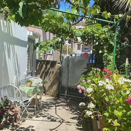 Apartman Annamaria Cres Dış mekan fotoğraf